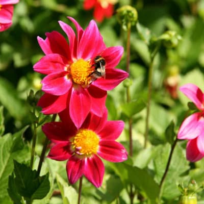 QA SVC Beauty-wellness-services 02447